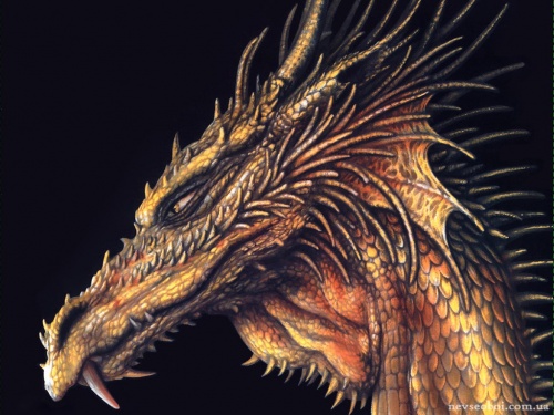 Wallpaper with dragons (546 wallpapers)