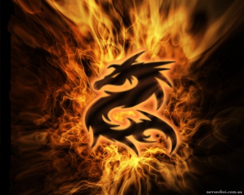 Wallpaper with dragons (546 wallpapers)