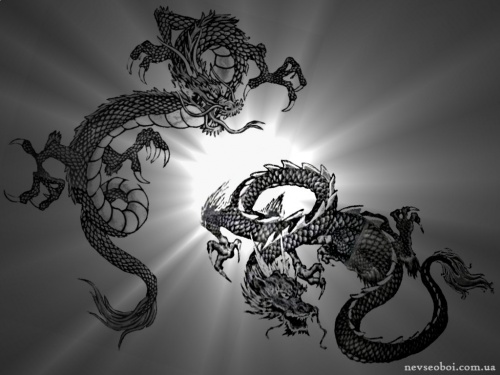 Wallpaper with dragons (546 wallpapers)