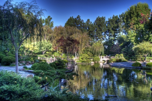 Parks and Gardens (50 wallpapers)