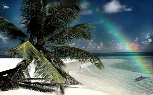 Tropical Paradise (50 wallpapers)