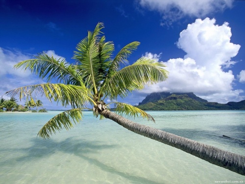 Tropical Paradise 2 (90 wallpapers)