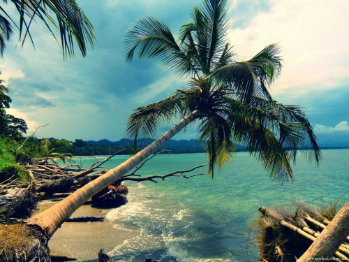 Tropical Paradise 2 (90 wallpapers)