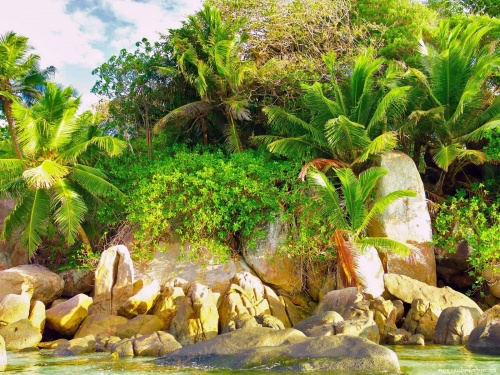 Tropical Paradise 2 (90 wallpapers)